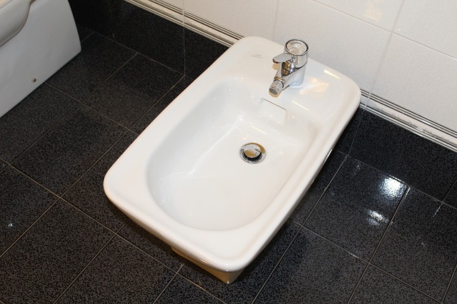 bidet v koupelně